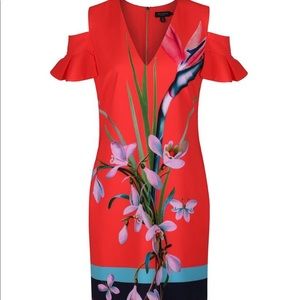 Ted Baker GORGEOUS cocktail dress.